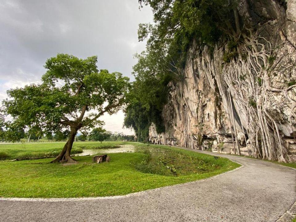 Low Season Promotion! 4B11B Mountainview 16 Pax Ipoh Exterior foto